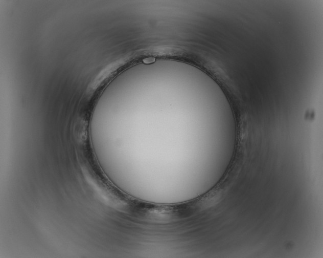 X0000111490164200907281236