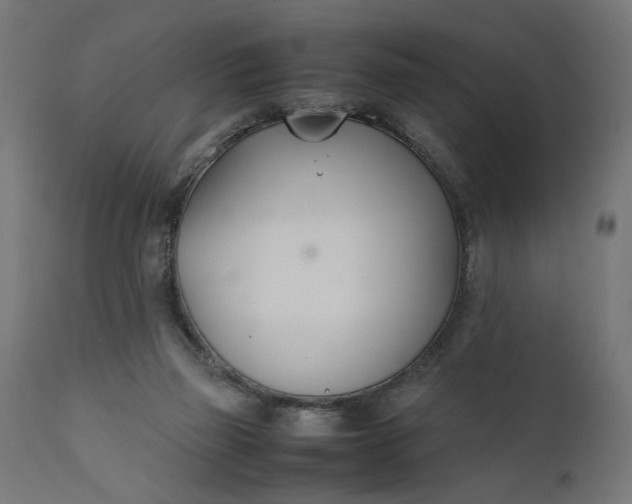 X0000111490165200907281236