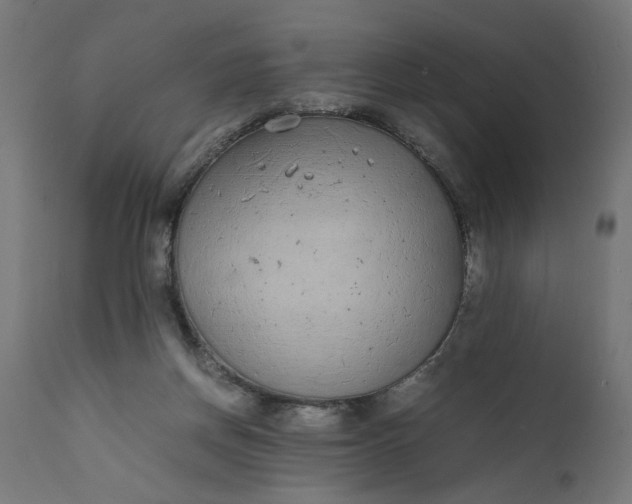 X0000111490166200907281236