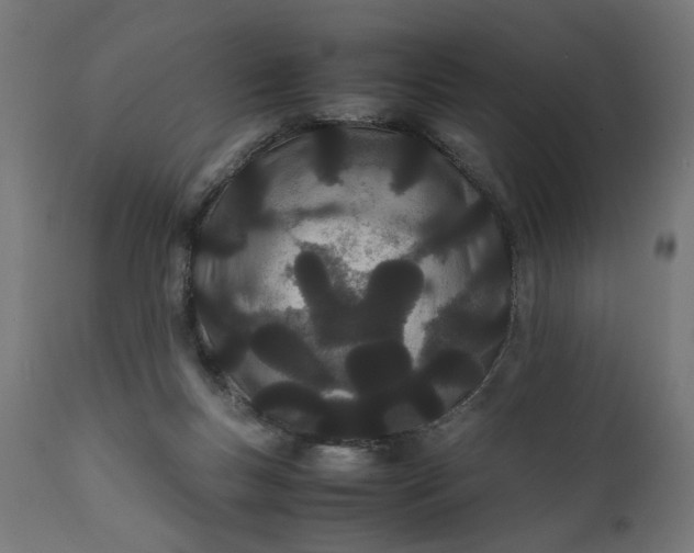 X0000111490167200907281236