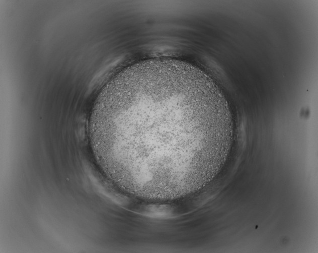 X0000111490169200907281236