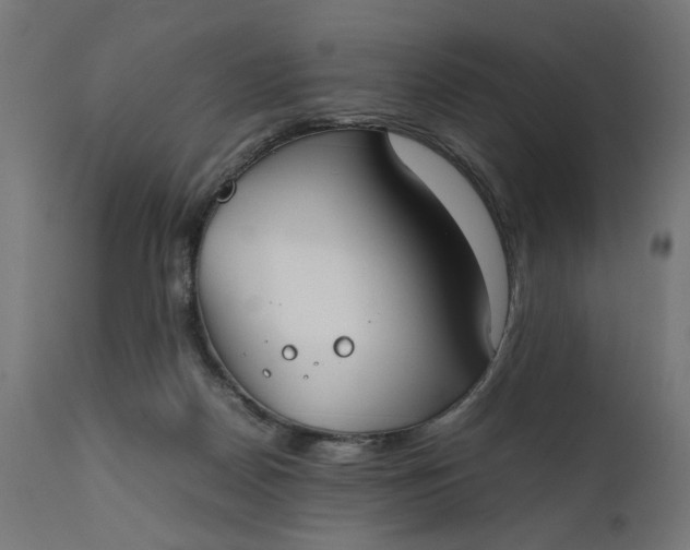 X0000111490170200907281236