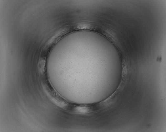 X0000111490171200907281236