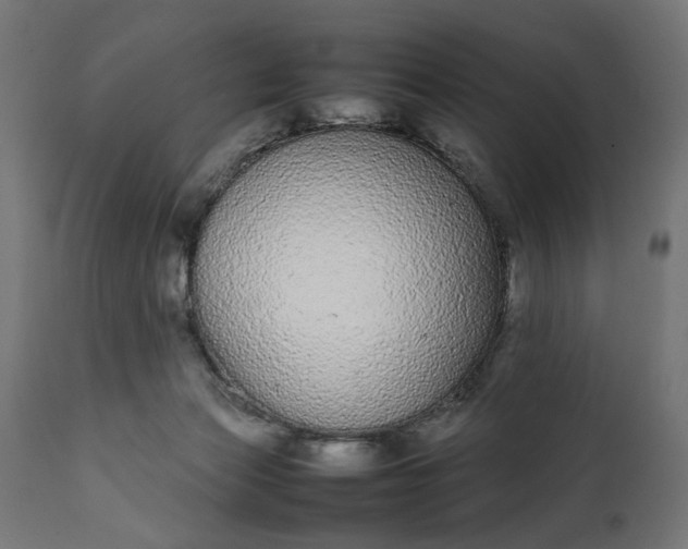 X0000111490173200907281236