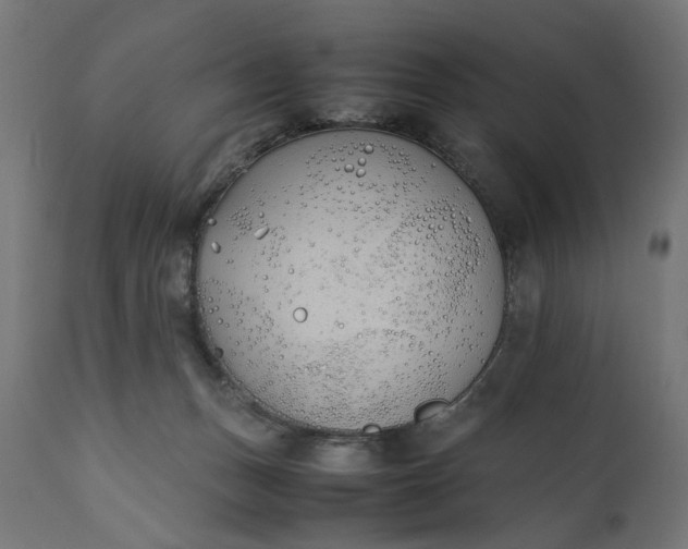 X0000111490175200907281236