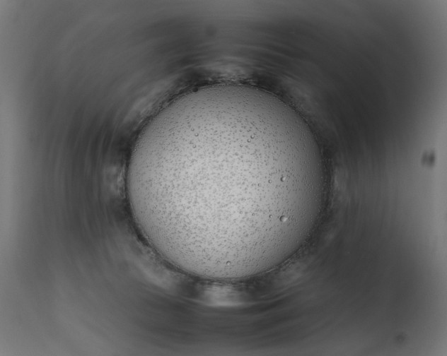 X0000111490177200907281236