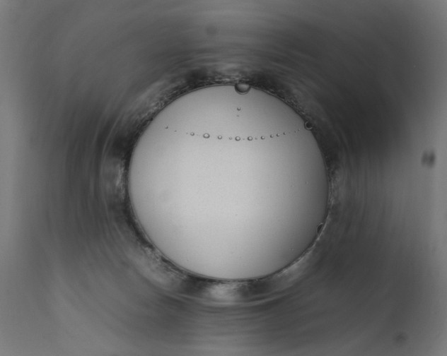 X0000111490178200907281236