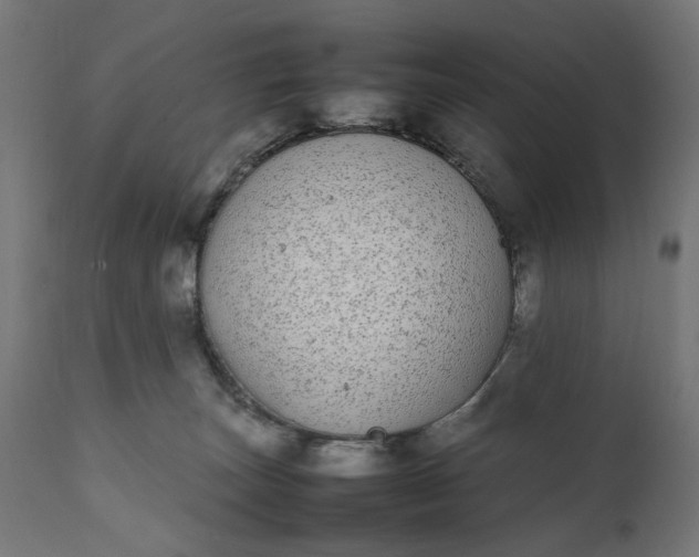 X0000111490179200907281236