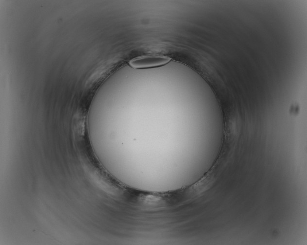 X0000111490180200907281236