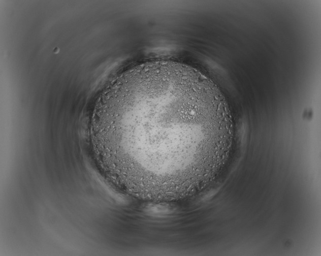 X0000111490181200907281236