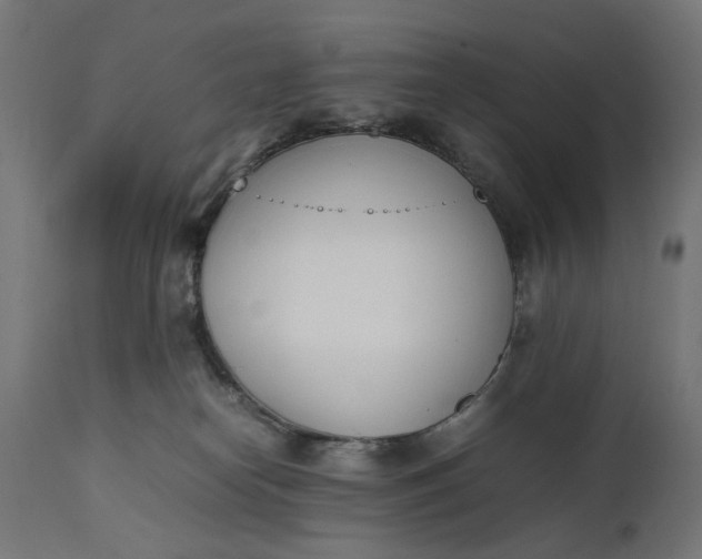 X0000111490182200907281236