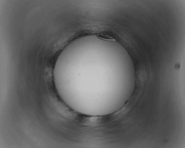 X0000111490184200907281236