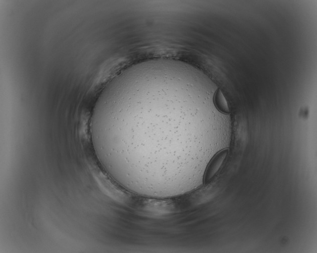 X0000111490185200907281236