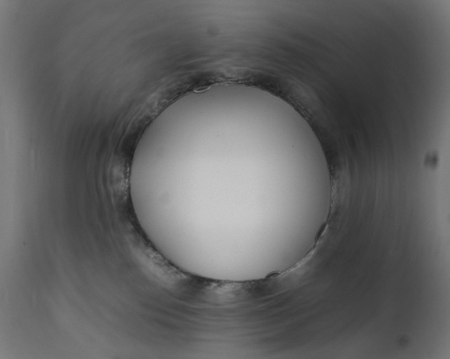 X0000111490186200907281236