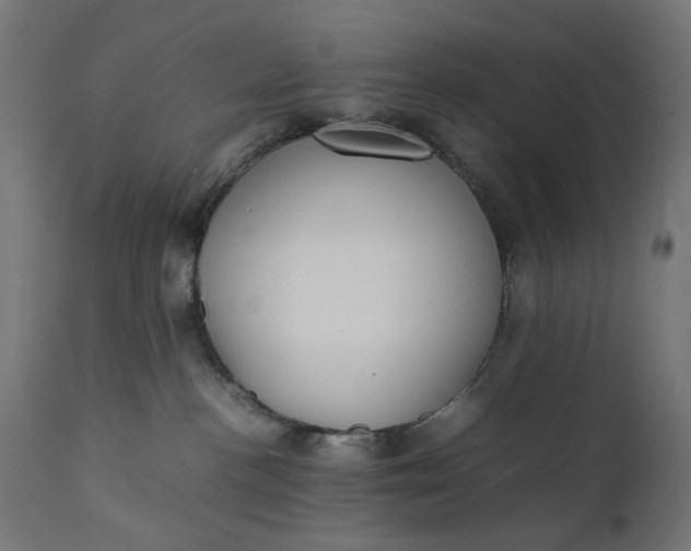 X0000111490188200907281236