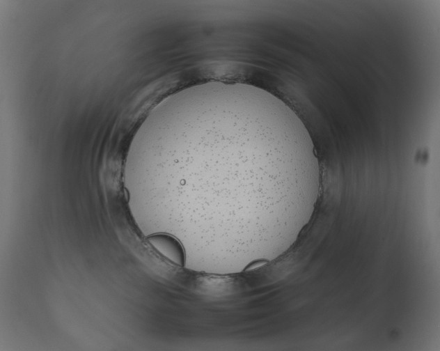 X0000111490189200907281236