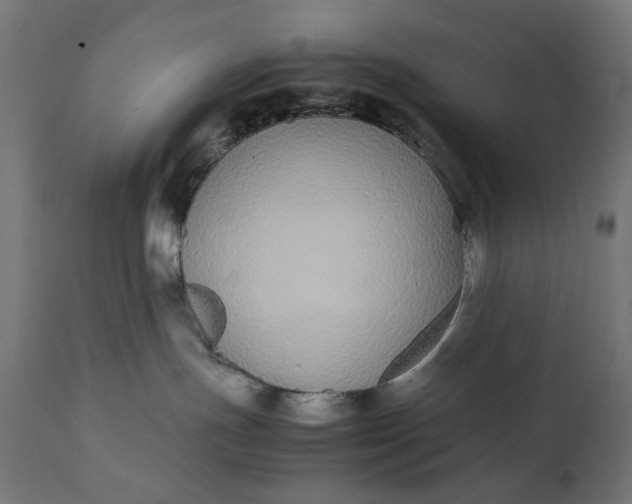 X0000111490191200907281236