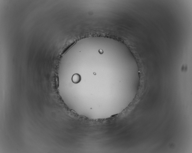 X0000111490192200907281236