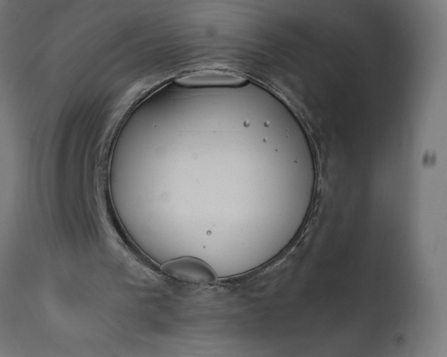 X0000111490193200907281235