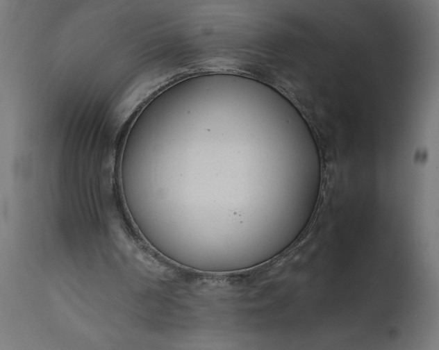 X0000111490194200907281235