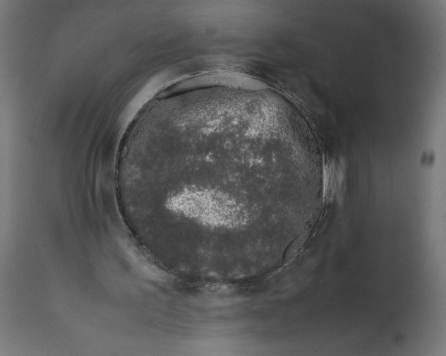 X0000111490195200907281235