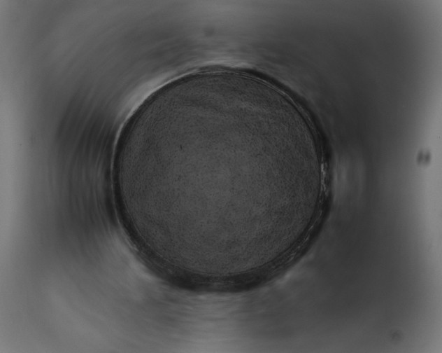 X0000111490196200907281235