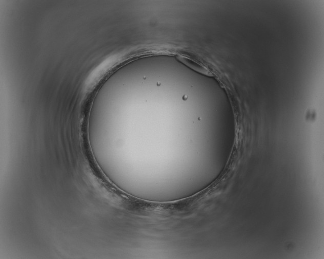 X0000111490197200907281235