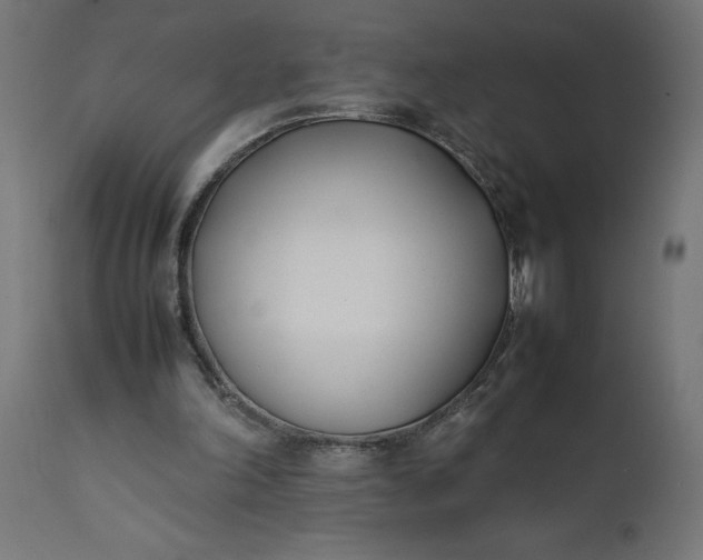 X0000111490198200907281235