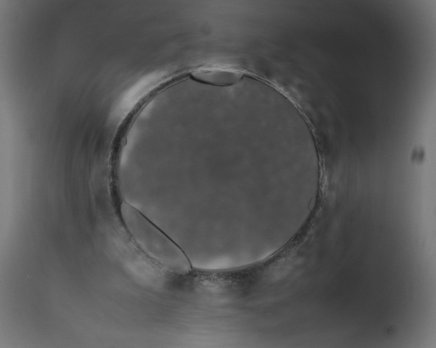 X0000111490199200907281235