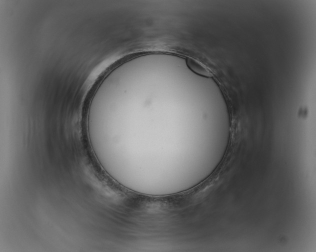 X0000111490200200907281235