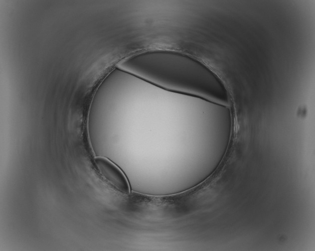 X0000111490201200907281235