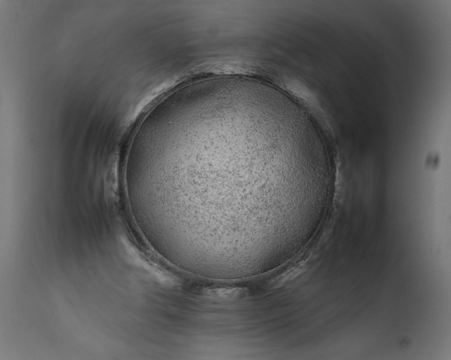 X0000111490202200907281235