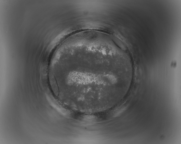 X0000111490203200907281235