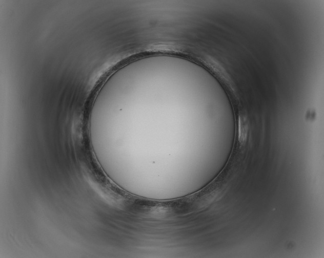 X0000111490204200907281235