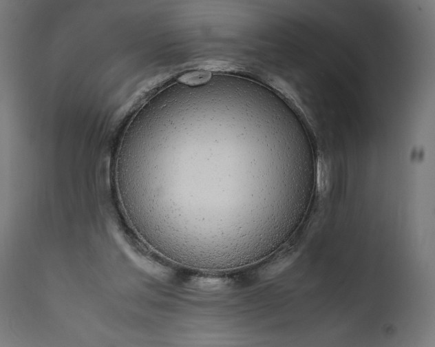 X0000111490205200907281235