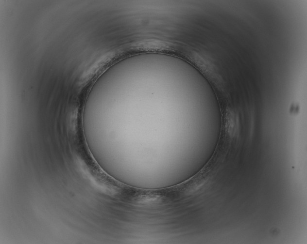 X0000111490206200907281235