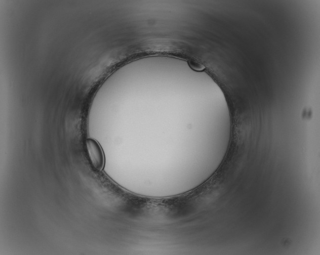 X0000111490207200907281235