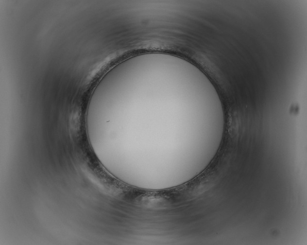 X0000111490208200907281235