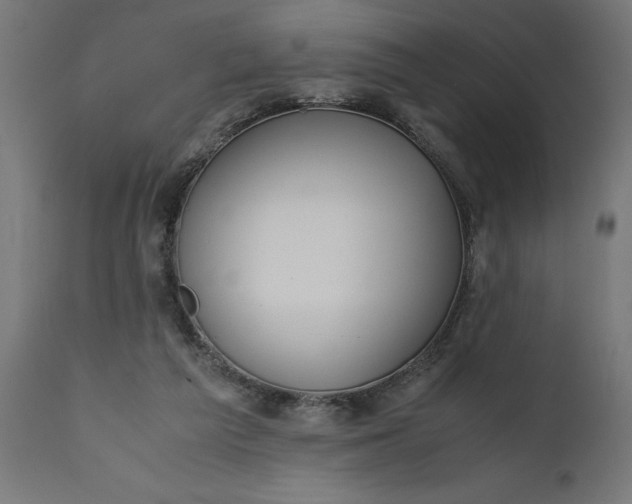 X0000111490209200907281235