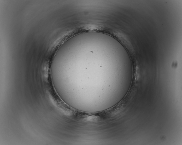 X0000111490210200907281235