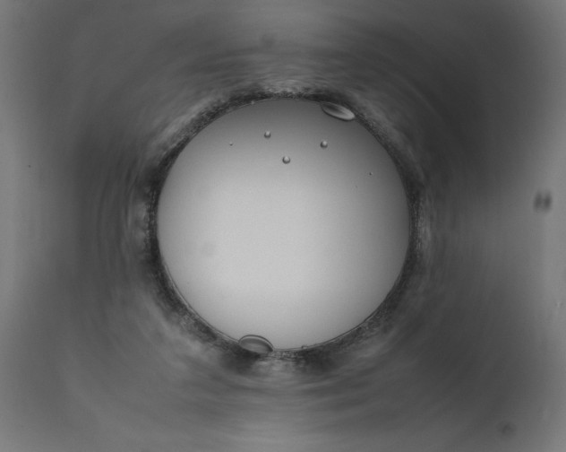 X0000111490211200907281235