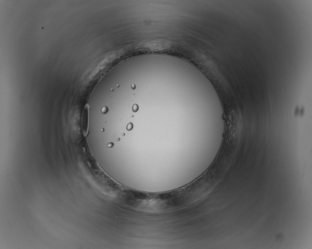 X0000111490212200907281235