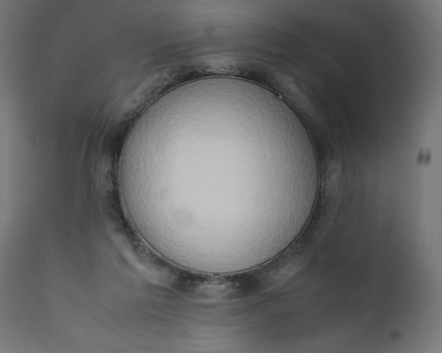 X0000111490213200907281235