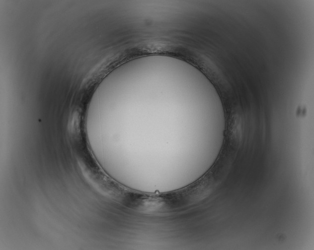 X0000111490214200907281235