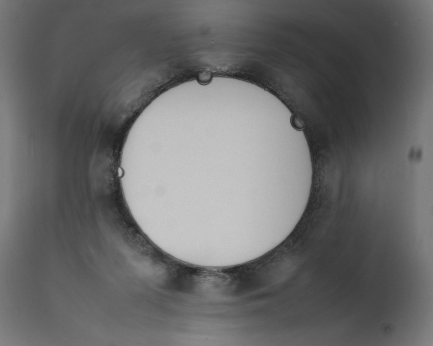 X0000111490215200907281235