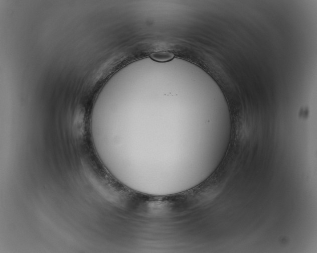 X0000111490216200907281235