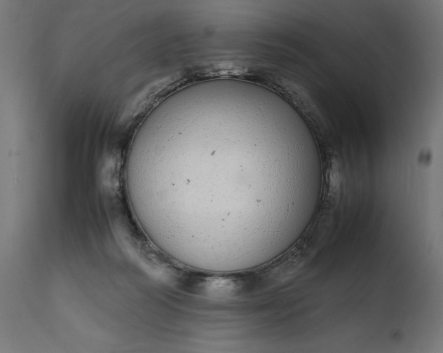 X0000111490218200907281235