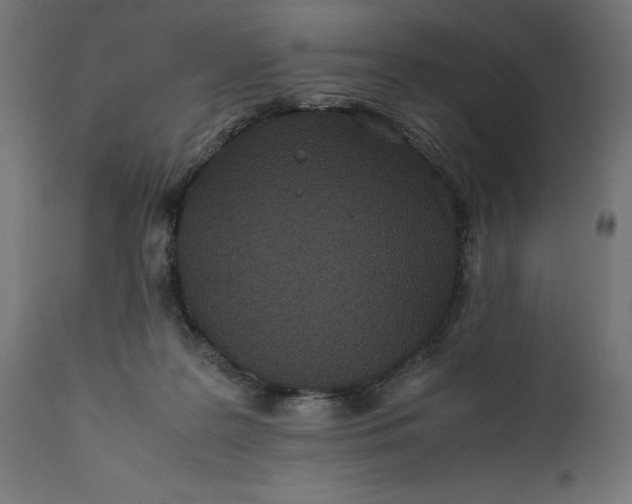 X0000111490219200907281235