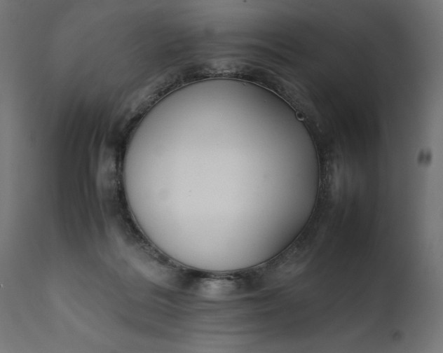 X0000111490220200907281235