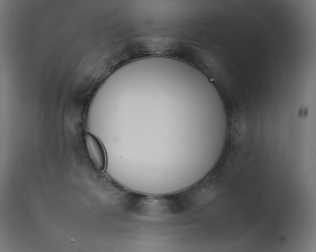 X0000111490221200907281235